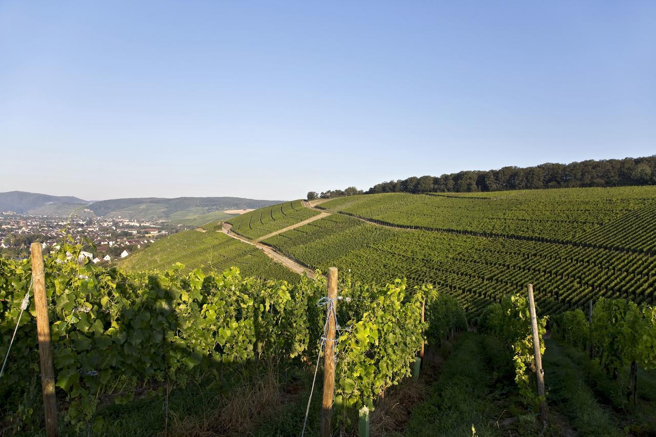 Weinquartier Burggarten Bad Neuenahr-Ahrweiler Exterior photo